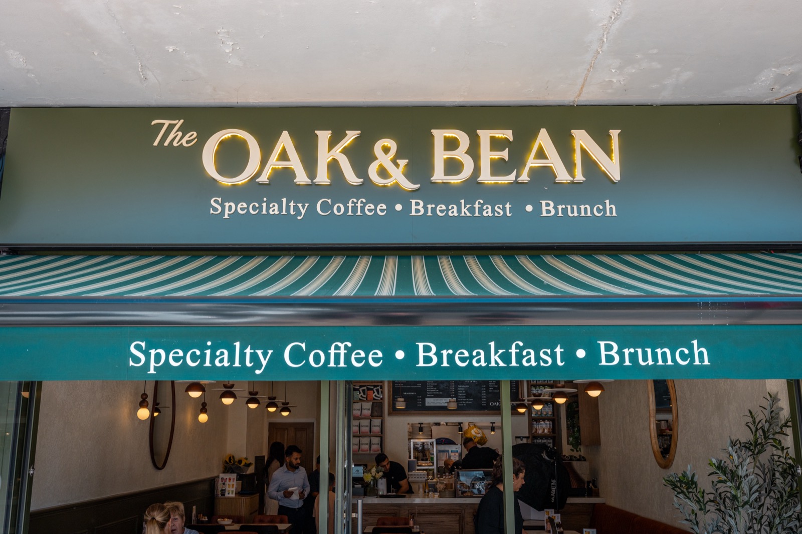 Welcome to The Oak & Bean